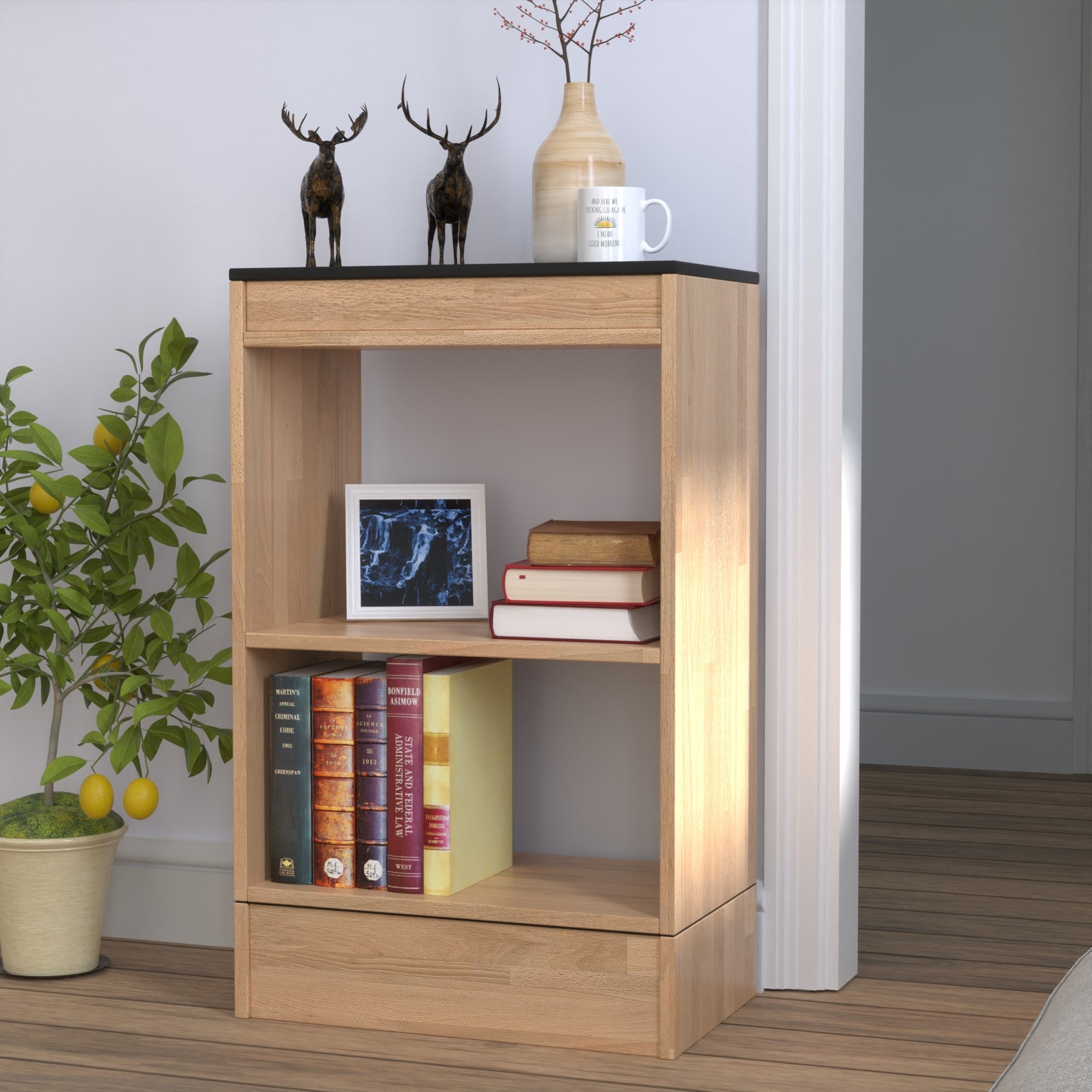 Low Bookcase - Single Unit