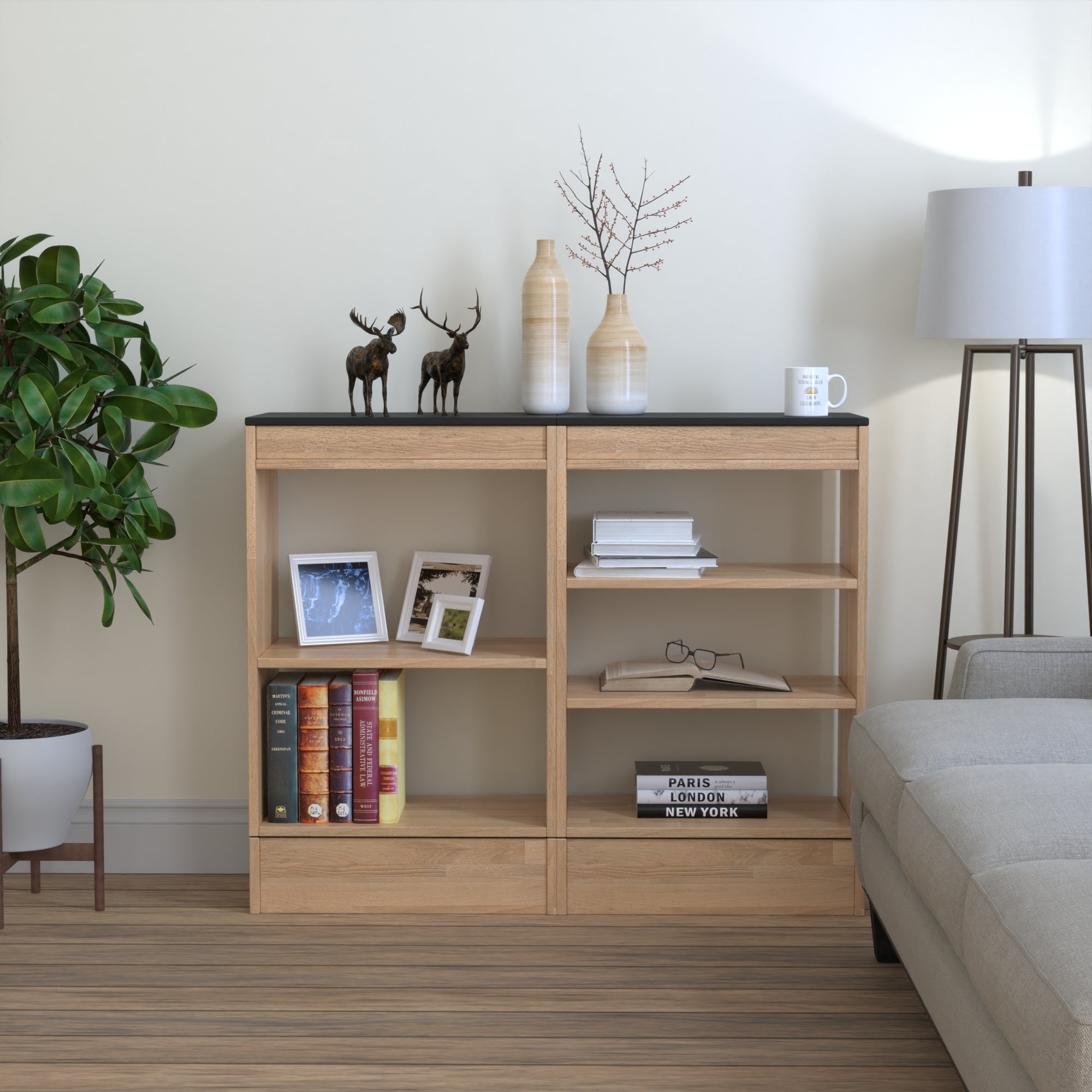 Low Bookcase - Double Unit